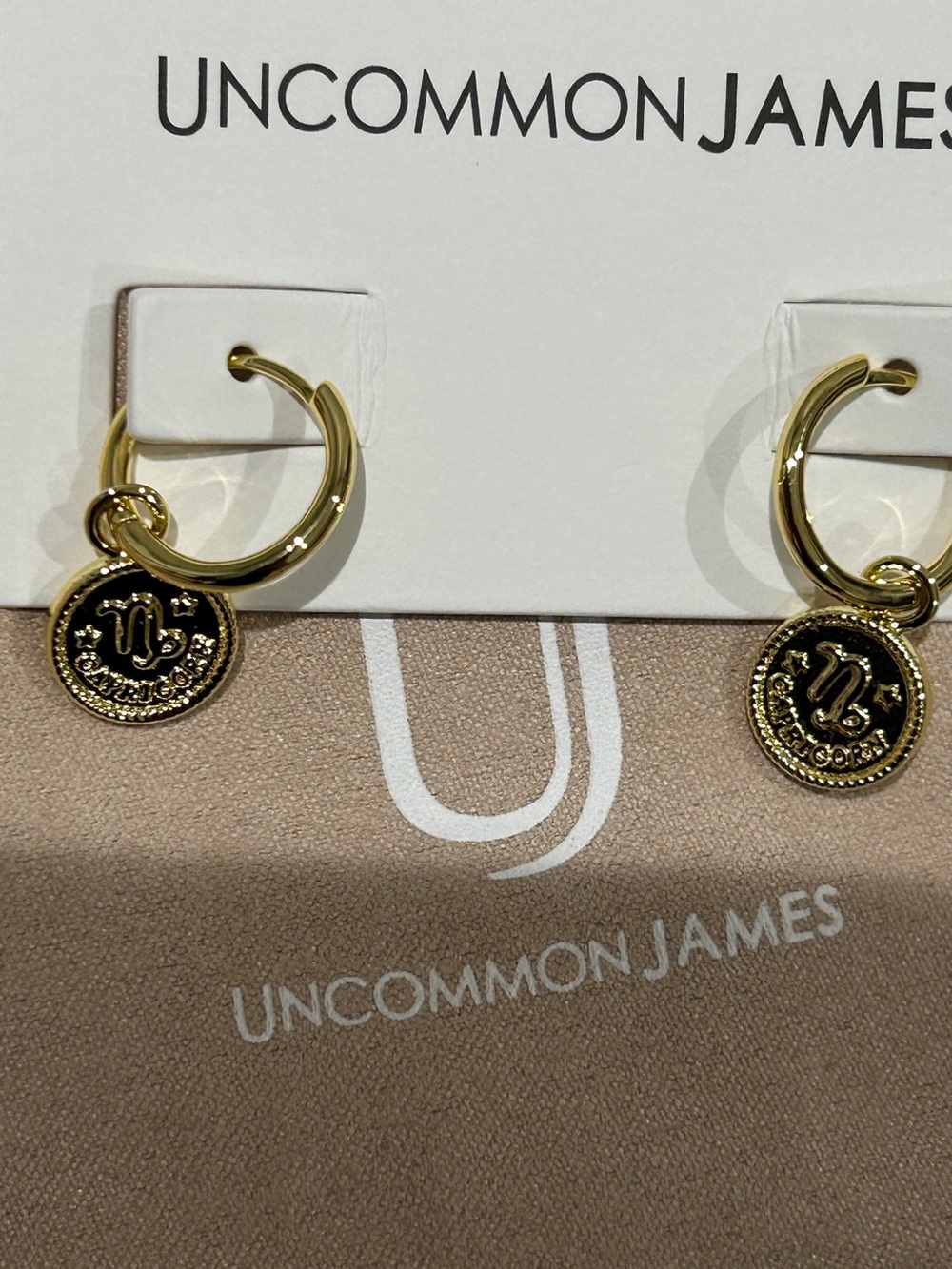Uncommon James Zodiac Huggies Capricorn earrings